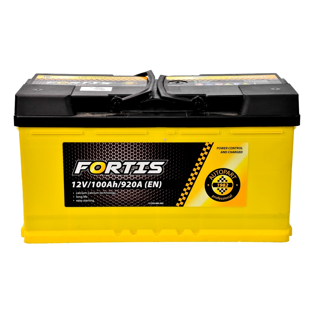 Акумулятор FORTIS 12V 100Ah 920A R+ FRT10000 - zapix
