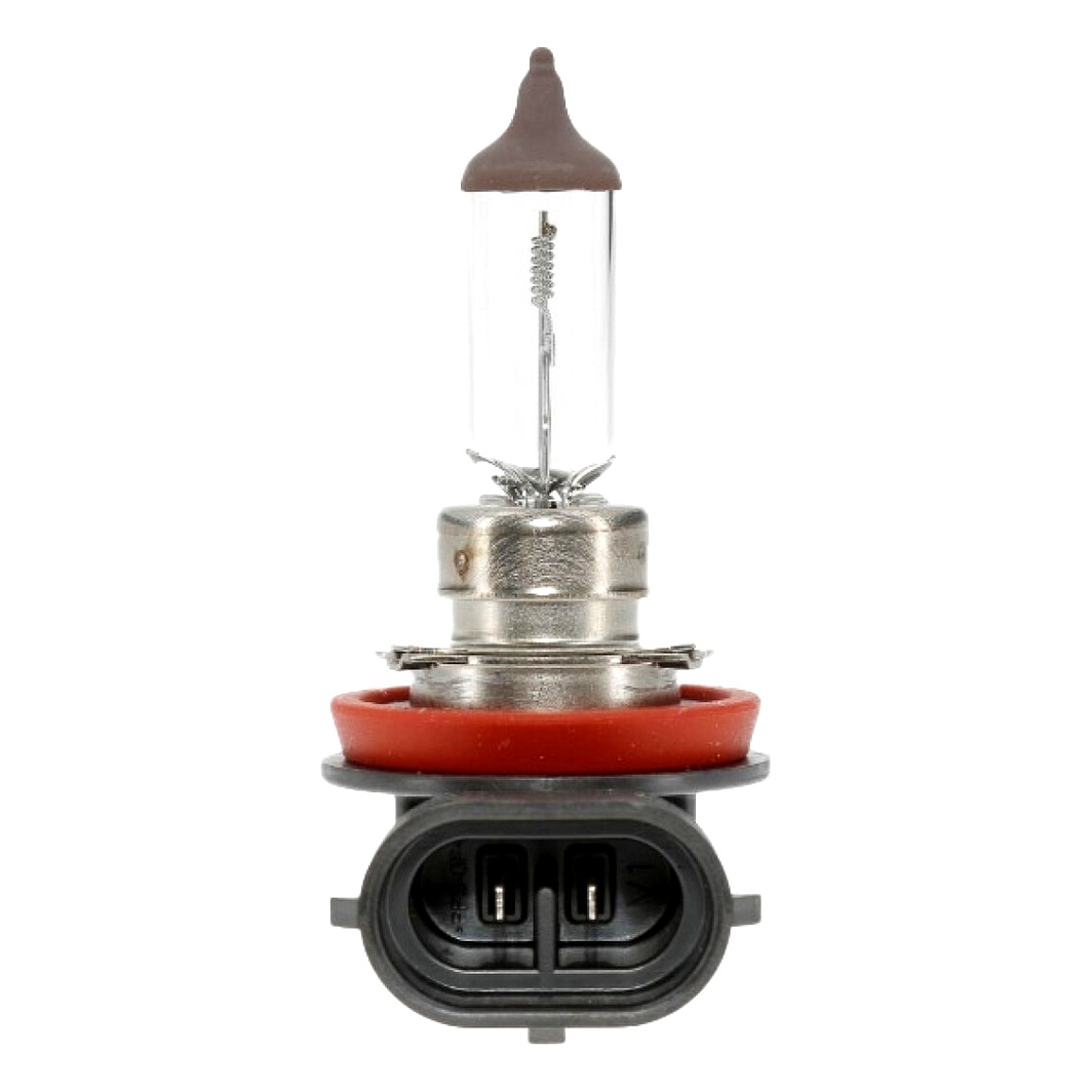 Автолампа галогенова CHAMPION H11 PGJ19-2 70W 24V прозора CBH23S - zapix