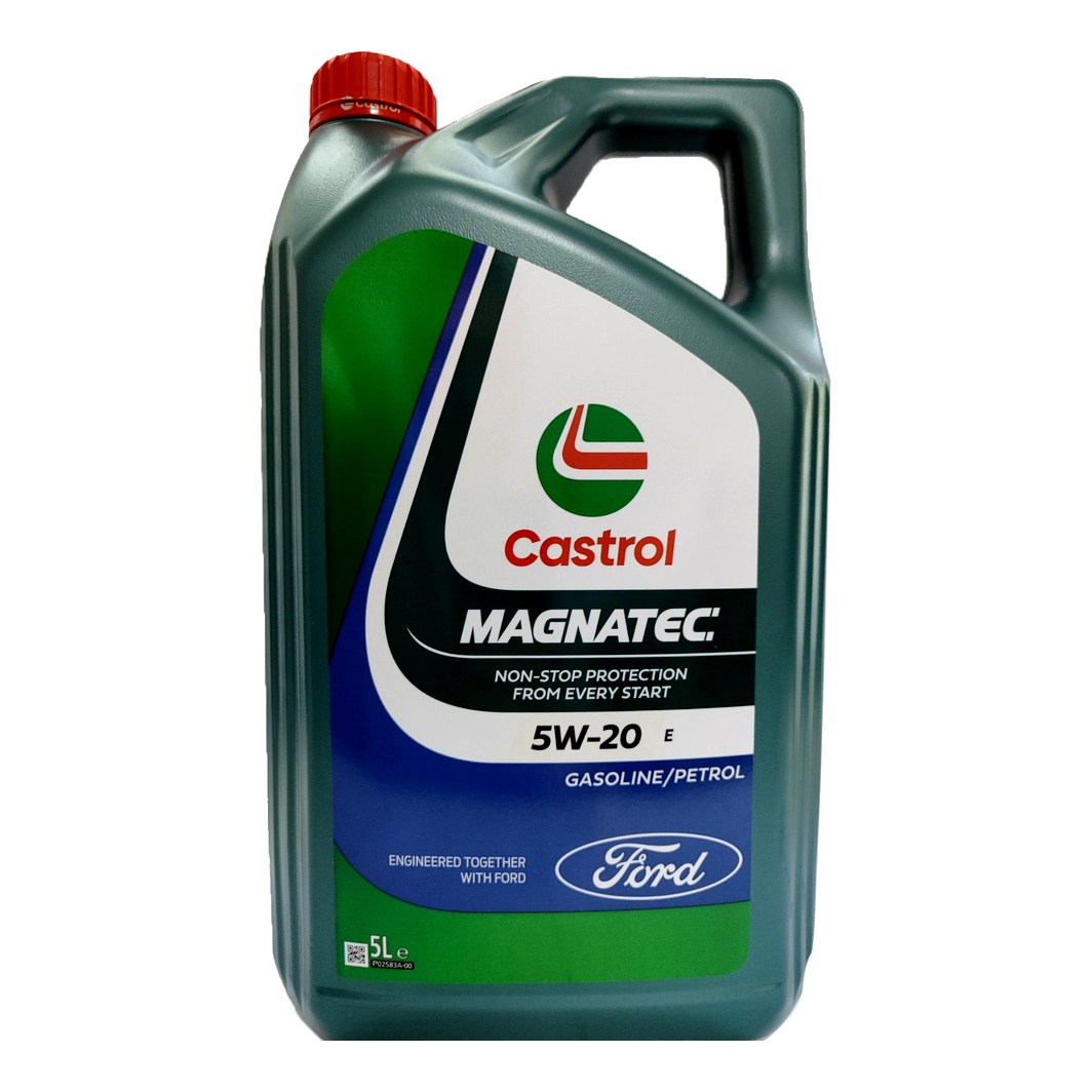 Моторна олива CASTROL Professional Magnatec E 5W-20 5 л (151A95) - zapix