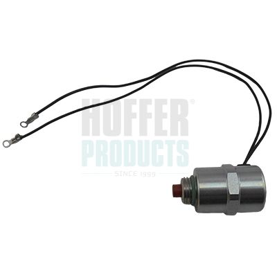 Клапан ПНВТ HOFFER 8029030 - zapix