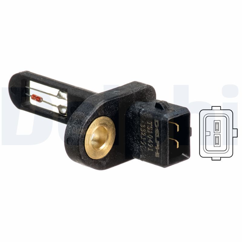 Датчик температури впускного повітря DELPHI TS10491 - zapix