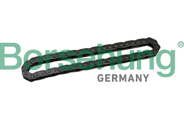 Ланцюг привода BORSEHUNG B1C028 - zapix