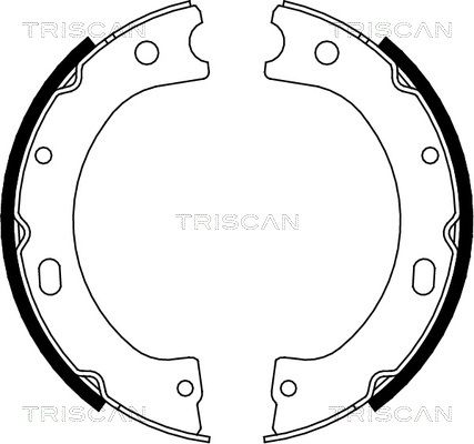 Гальмівні колодки ручника (барабанні) TRISCAN 810014011 - zapix