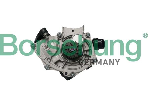 Помпа системи охолодження BORSEHUNG B11209 - zapix