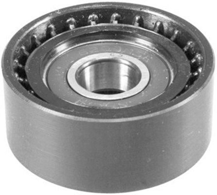 Ролик натяжний ременя приводного MAGNETI MARELLI 331316170635 - zapix