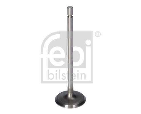 Впускний клапан FEBI BILSTEIN 181077