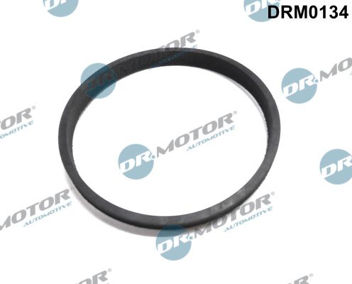 Прокладка дросельної заслонки DR.MOTOR AUTOMOTIVE DRM0134 - zapix