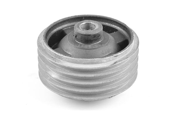 Опора двигуна TEDGUM 00673071 - zapix