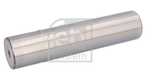 Шкворінь підвіски FEBI BILSTEIN 35012 - zapix