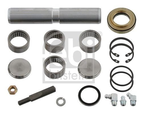 Шкворінь підвіски FEBI BILSTEIN 09690 - zapix