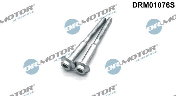 Болт форсунки паливної DR.MOTOR AUTOMOTIVE DRM01076S - zapix