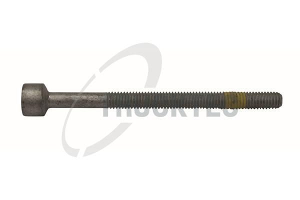 Болт форсунки паливної TRUCKTEC AUTOMOTIVE 0213101 - zapix