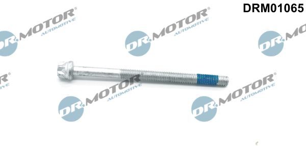 Болт форсунки паливної DR.MOTOR AUTOMOTIVE DRM01065 - zapix
