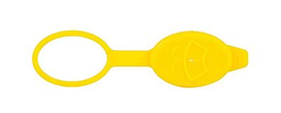 Кришка бачка омивача BSG65852003 - zapix