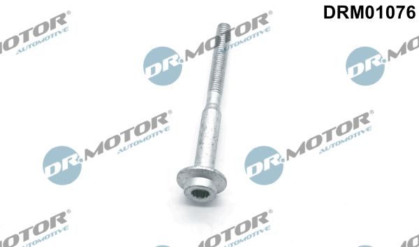 Болт форсунки паливної DR.MOTOR AUTOMOTIVE DRM01076 - zapix