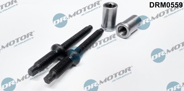 Болт форсунки паливної DR.MOTOR AUTOMOTIVE DRM0559 - zapix