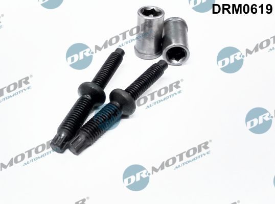 Болт форсунки паливної DR.MOTOR AUTOMOTIVE DRM0619 - zapix