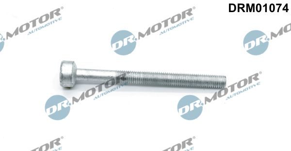 Болт форсунки паливної DR.MOTOR AUTOMOTIVE DRM01074 - zapix