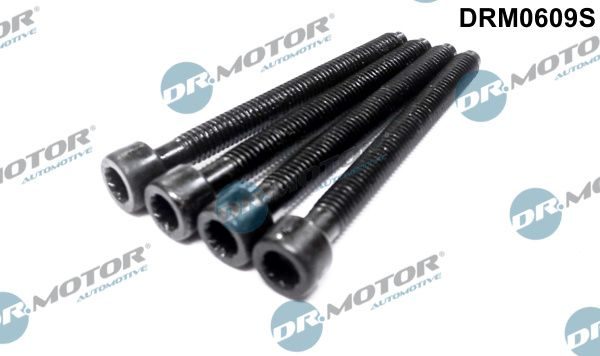 Болт форсунки паливної DR.MOTOR AUTOMOTIVE DRM0609S - zapix