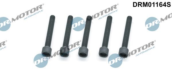 Болт форсунки паливної DR.MOTOR AUTOMOTIVE DRM01164S - zapix
