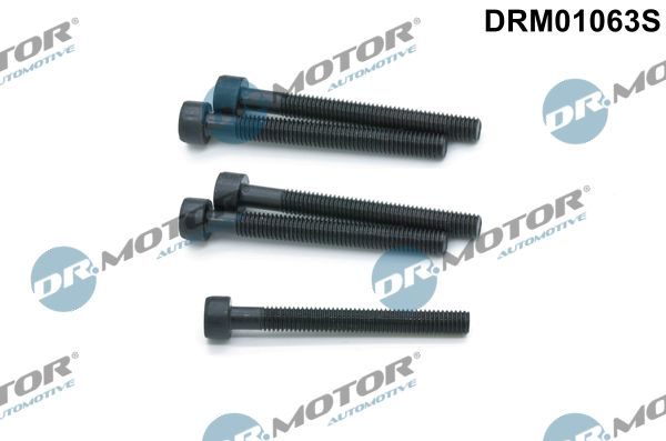 Болт форсунки паливної DR.MOTOR AUTOMOTIVE DRM01063S - zapix