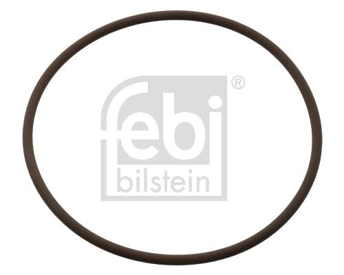 Прокладка патрубків системи охолодження FEBI BILSTEIN 104848 - zapix