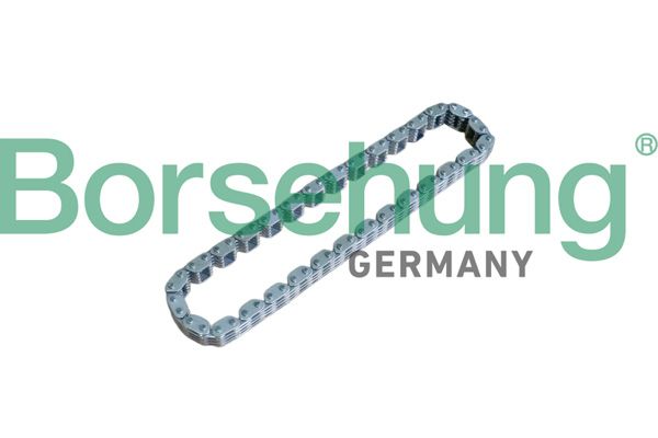 Ланцюг привода BORSEHUNG B17905 - zapix