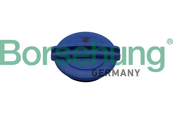 Кришка розширювального бачка BORSEHUNG B19281 - zapix