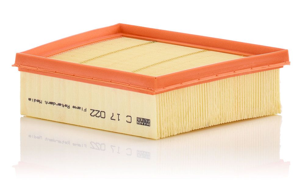 Повітряний фільтр MANN-FILTER C17022 - zapix