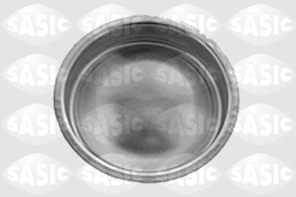 Кришка маточини SASIC 7403193 - zapix