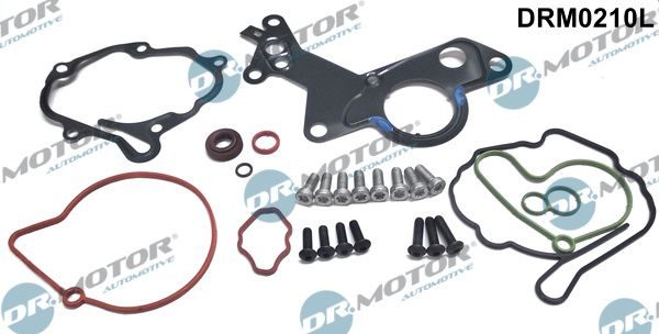 Ремкомплект вакуумного насоса гальм DR.MOTOR AUTOMOTIVE DRM0210L - zapix