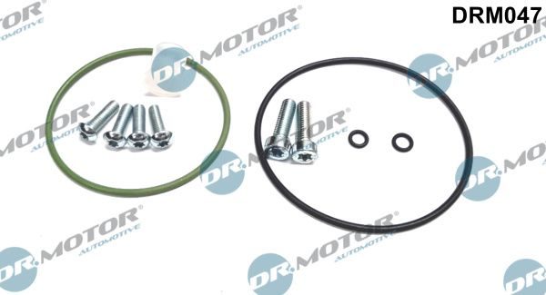 Ремкомплект вакуумного насоса гальм DR.MOTOR AUTOMOTIVE DRM047 - zapix