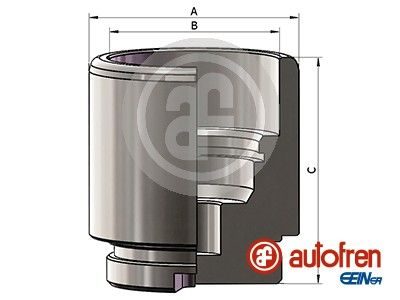 Поршень гальмівного супорта AUTOFREN SEINSA D025641 - zapix