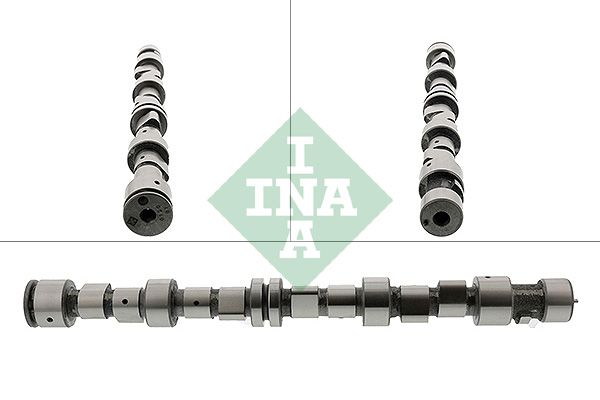 Розподільний вал SCHAEFFLER INA 428009610 - zapix