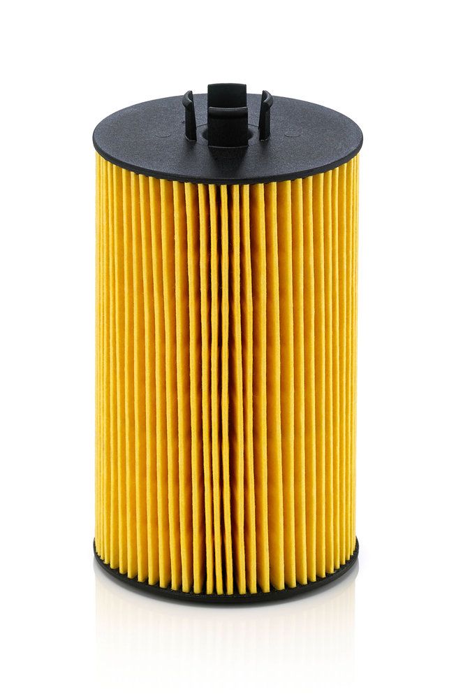 Оливний фільтр MANN-FILTER HU9317X - zapix