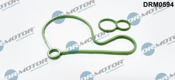 Прокладка вакуумного насоса гальм DR.MOTOR AUTOMOTIVE DRM0594 - zapix