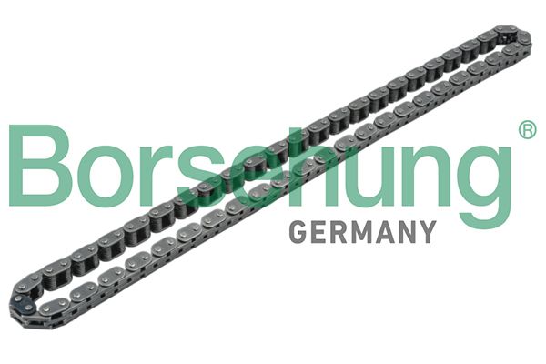 Ланцюг привода BORSEHUNG B1C001 - zapix