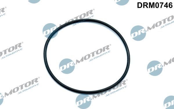 Прокладка вакуумного насоса гальм DR.MOTOR AUTOMOTIVE DRM0746 - zapix