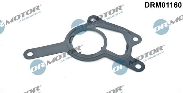 Прокладка вакуумного насоса гальм DR.MOTOR AUTOMOTIVE DRM01160 - zapix