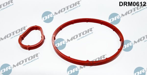 Прокладка вакуумного насоса гальм DR.MOTOR AUTOMOTIVE DRM0612 - zapix