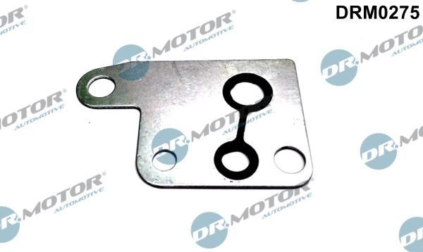 Прокладка вакуумного насоса гальм DR.MOTOR AUTOMOTIVE DRM0275 - zapix