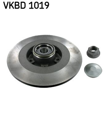 Гальмівний диск SKF VKBD1019 - zapix