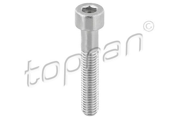 Болт супорта TOPRAN 110708 - zapix