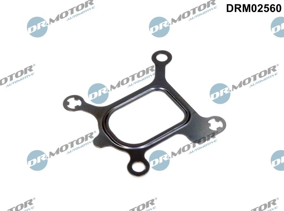 Прокладка фланця охолоджувальної рідини DR.MOTOR AUTOMOTIVE DRM02560 - zapix