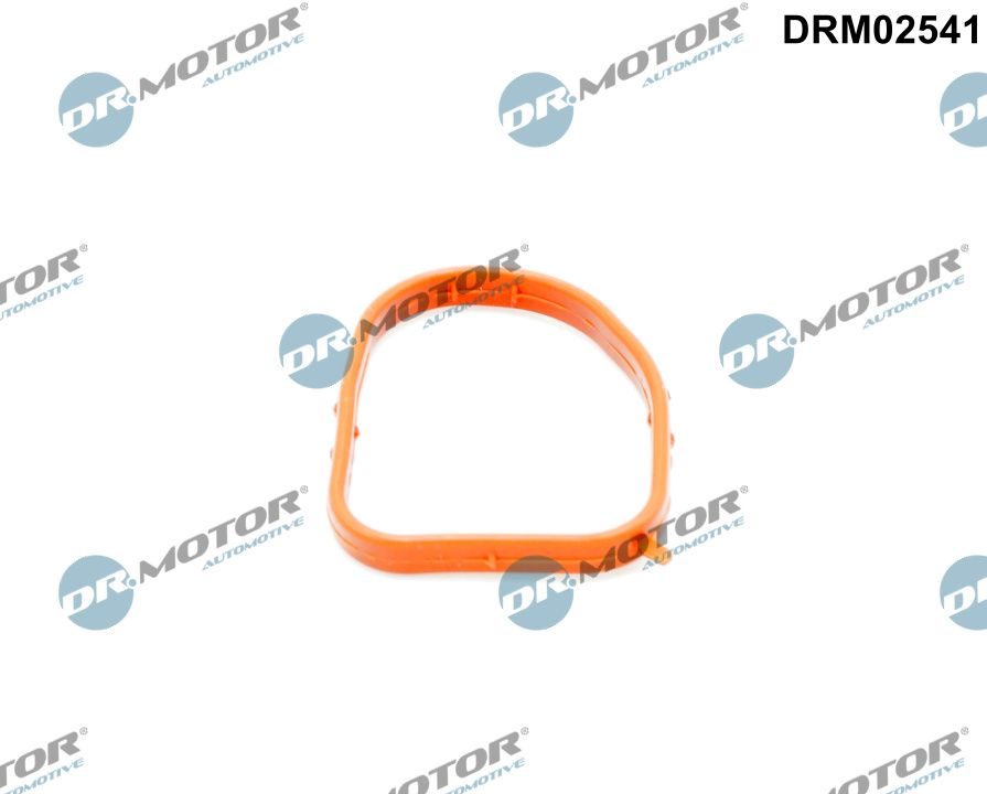 Прокладка фланця охолоджувальної рідини DR.MOTOR AUTOMOTIVE DRM02541 - zapix