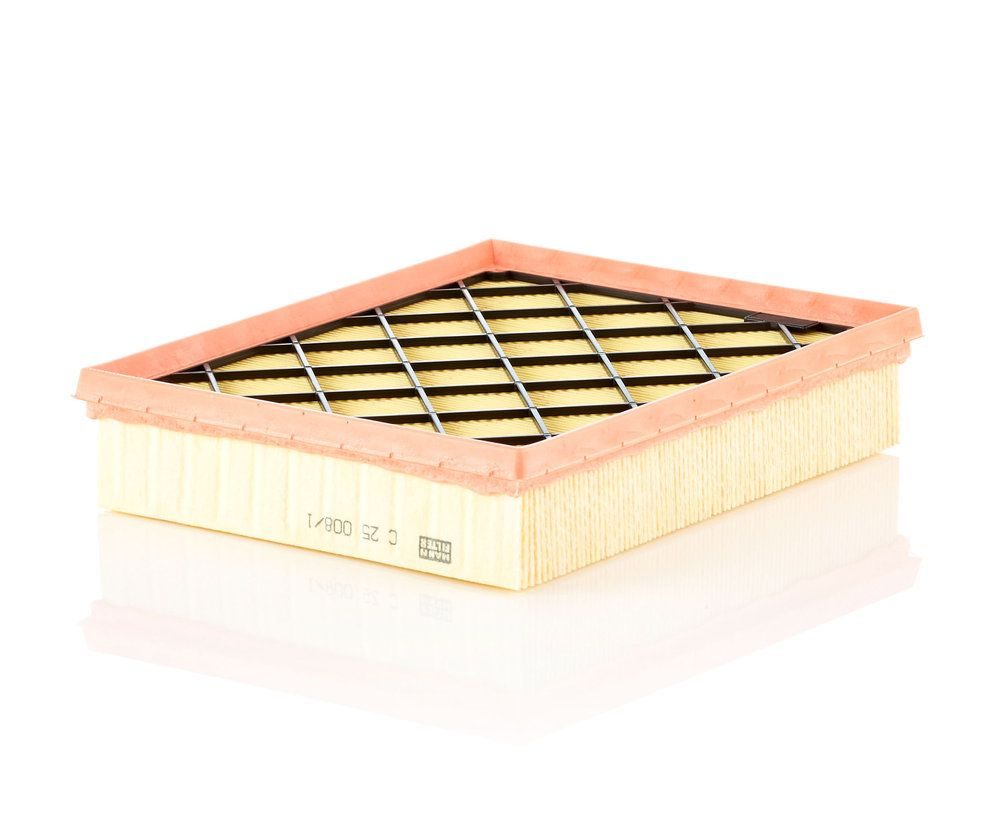 Повітряний фільтр MANN-FILTER C250081 - zapix