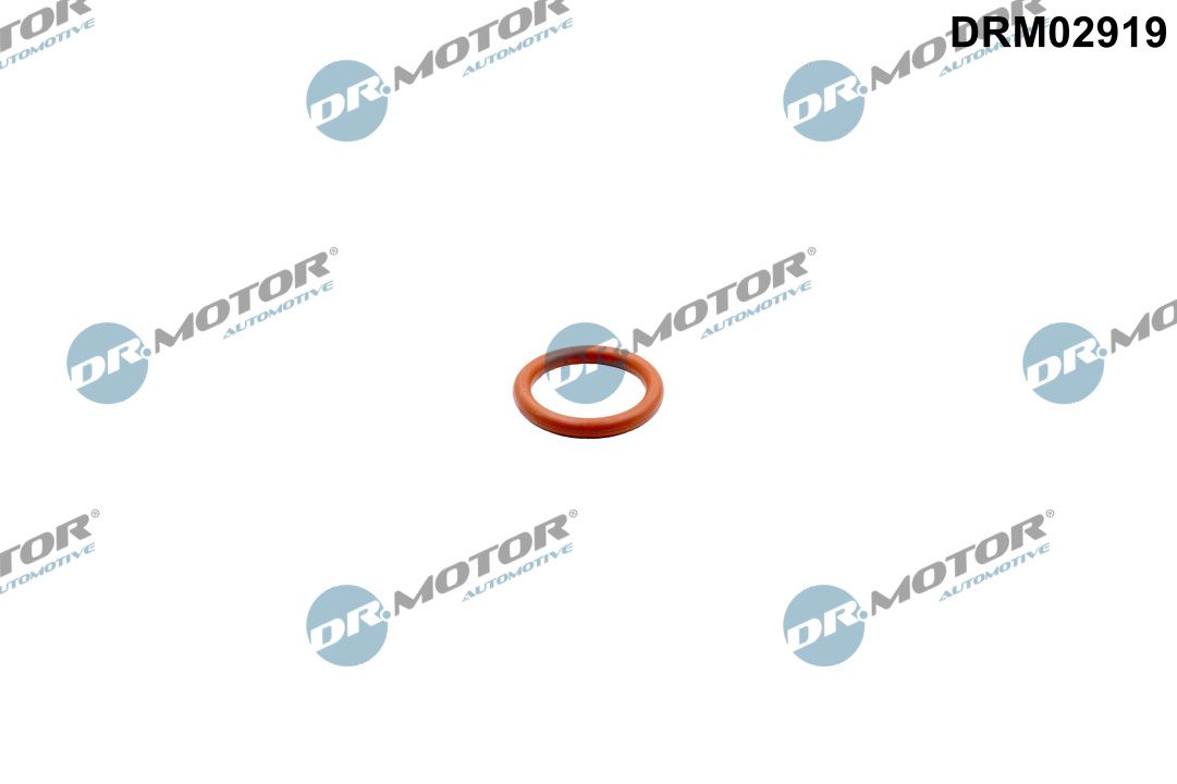Прокладка турбіни DR.MOTOR AUTOMOTIVE DRM02919 - zapix