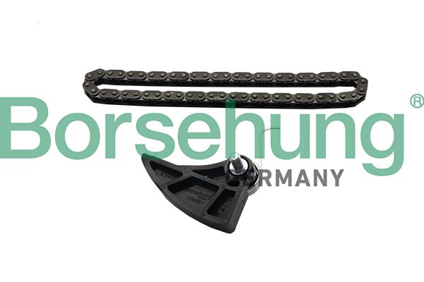 Приводний ланцюг оливного насоса BORSEHUNG B19287 - zapix