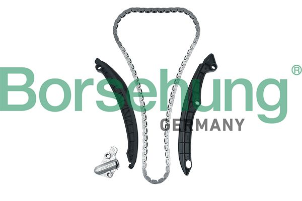 Комплект ланцюгів привода BORSEHUNG B17991 - zapix