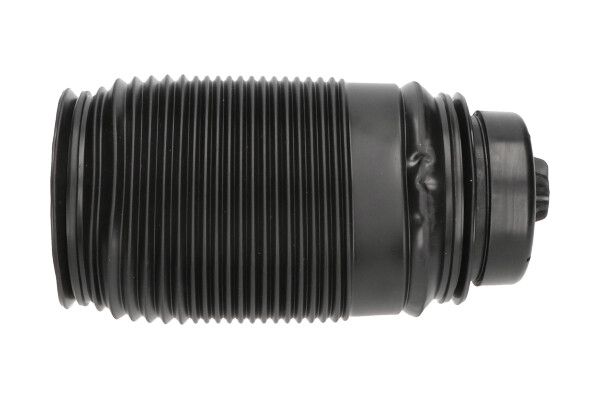 Пневматична підвіска KAVO PARTS SAS10014 - zapix